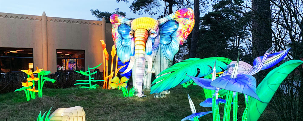 Light safari Beekse Bergen