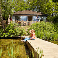 Vakantiepark Safari Resort Beekse Bergen in regio Noord-Brabant, Nederland