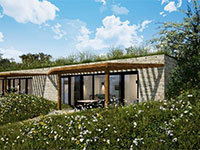 Hillside Comfort