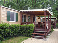 Sunlodge Redwood