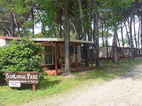 Sunlodge Redwood