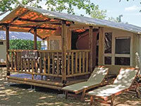 SunLodge Jungle