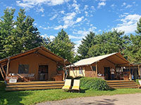 Sunlodge Yucca
