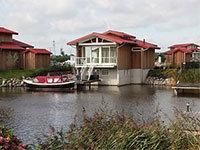 Zilvermeeuw Comfort 6