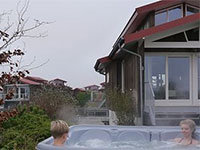 Goudplevier Wellness Plus 8