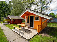 Cabin 4