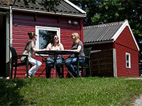 Esdoorn 4