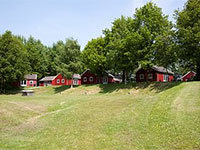 Kastanje 6