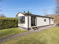Populier 6