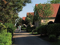 Buitenheem 6