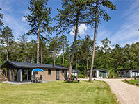 Frisling