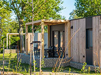 Domus 4+2