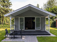 Tiny House Deluxe