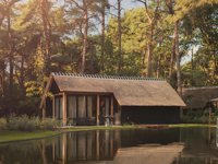 Bosstudio aan zwemvijver