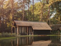 Bosstudio met hottub en sauna aan zwemvijver
