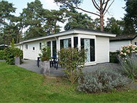 Velthorst 4