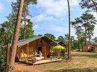 Safaritent Woods
