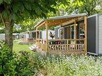 Veluwse Veranda Chalet