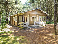 Forest Lodge