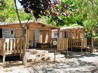 Safari Lodge