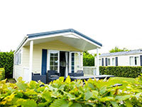Delta Lodge