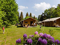 Safaritent de Wold Lodge