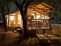 SunLodge Safari