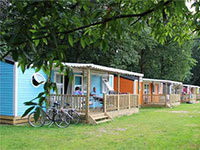 chalet Lupine