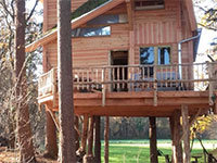 Treehouse Boomhut XXL