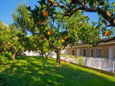 Thumbnail 5 van Residence Sant'Anna