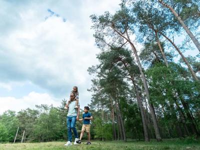Thumbnail 5 van Landal Drentse Lagune