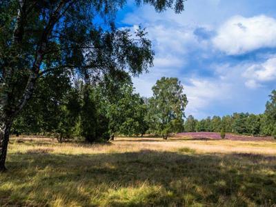 Thumbnail 2 van Eurostrand Lüneburger Heide