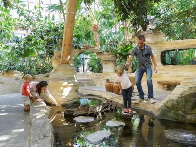 Thumbnail 3 van Center Parcs Les Trois Forêts
