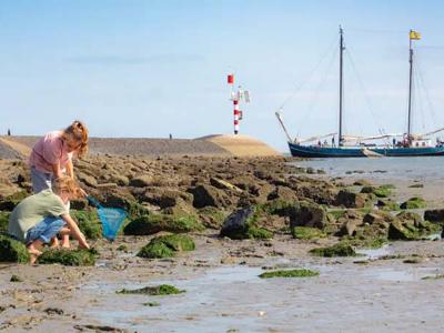 Thumbnail 5 van Landal West Terschelling