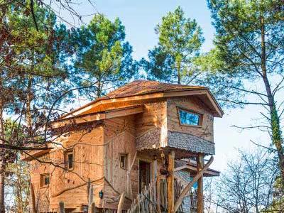 Thumbnail 2 van Center Parcs Le Bois aux Daims