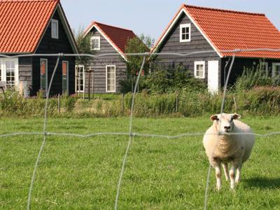 Thumbnail 3 van De Stelhoeve