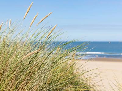 Thumbnail 4 van Strandpark Zeeland