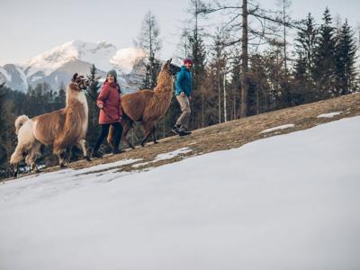 Thumbnail 4 van Bergresort Zugspitze Ehrwald