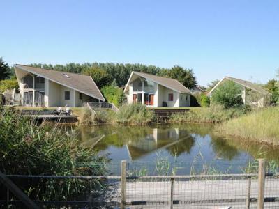 Thumbnail 4 van De Paardekreek