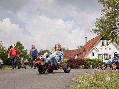Thumbnail 2 van Landal Landgoed Aerwinkel