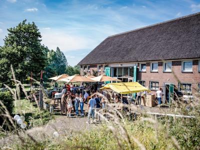 Thumbnail 2 van TinyParks Tiengemeten