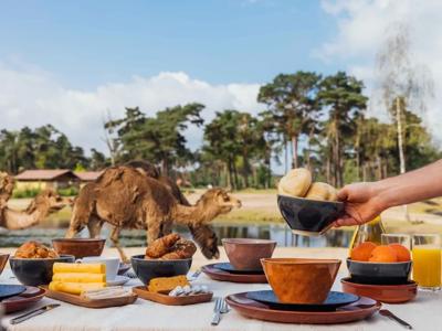 Thumbnail 3 van Safari Resort Beekse Bergen