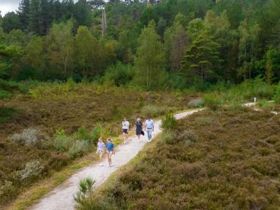 Thumbnail 5 van Landal Residence Berger Duinen