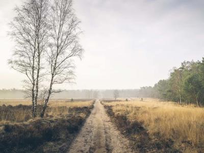 Thumbnail 5 van Marber Veluwe
