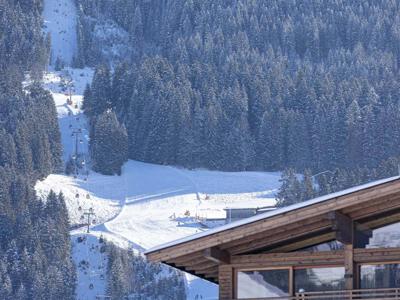 Thumbnail 3 van Chalet 149 Westendorf