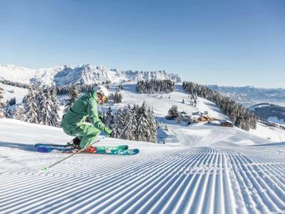 Thumbnail 5 van Chalet 149 Westendorf