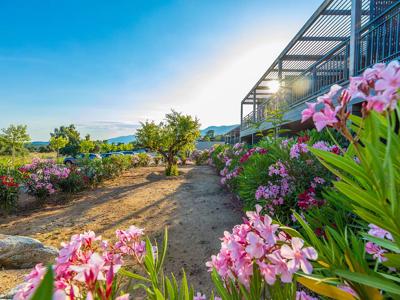 Thumbnail 2 van Premium Residence Les Terrasses d'Arsella