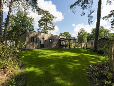Thumbnail 3 van Vakantiepark Blankenberger Duinen