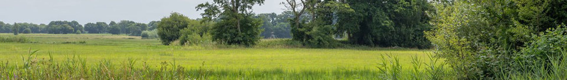 Kop van Overijssel