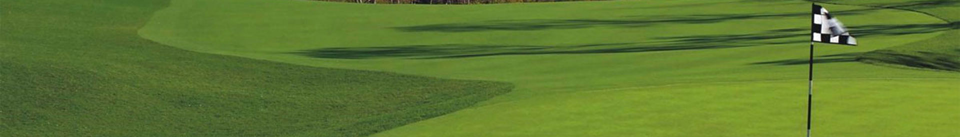 Golfen in Overijssel